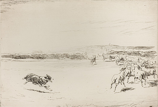 Collie Rounding Up Sheep Ii, C1919