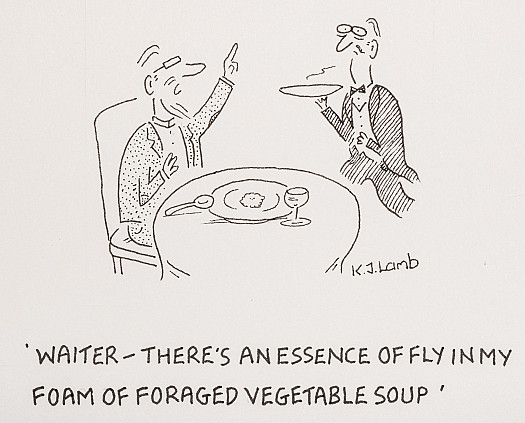 Waiter &ndash; There's an essence of fly in my foam of foraged vegetable soup