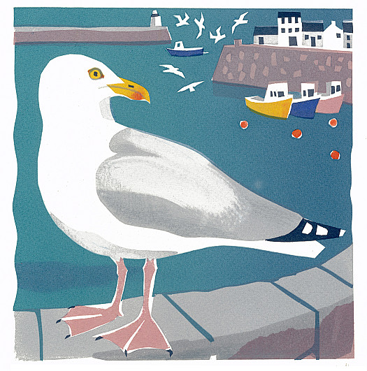 The Herring Gull