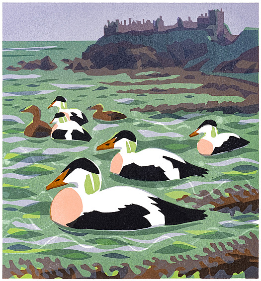 Eiders