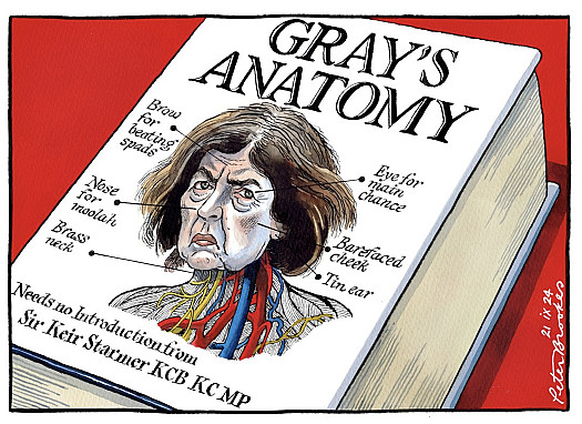 Gray's Anatomy