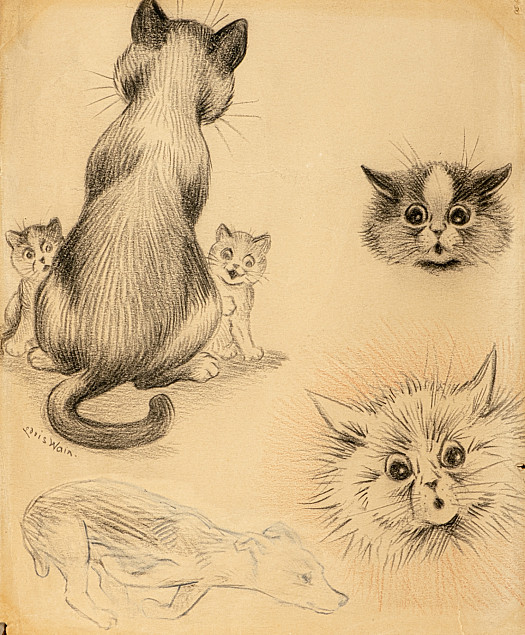 Cats, Kittens and a Running Dog
Studies from a Sketchbook