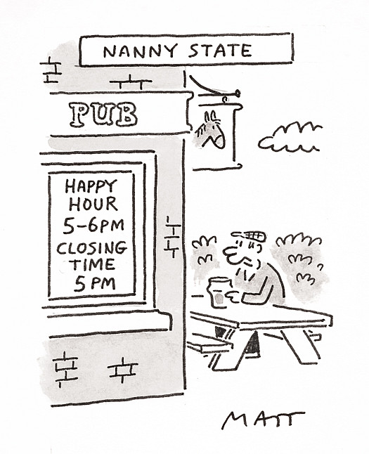 Nanny State