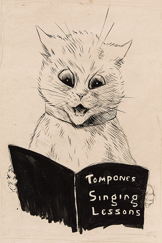 Tompones Singing Lessons
You can't get much Satisfaction out of a Singing Lesson 
Except your Next Door Neighbour's Irritation