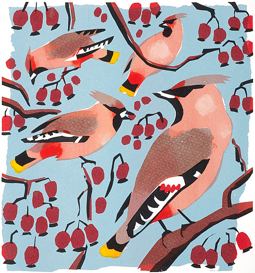 Waxwings