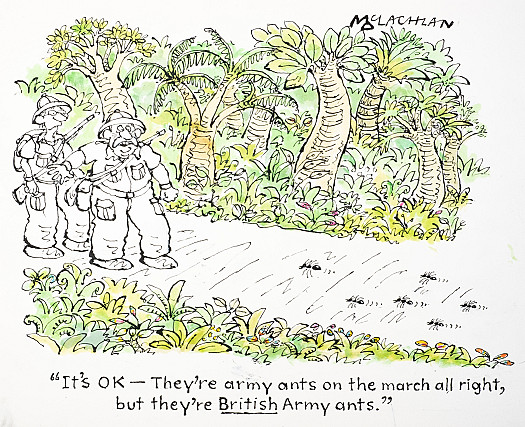 It's OK &ndash; They'e army ants on the march all right, but they're British Army ants