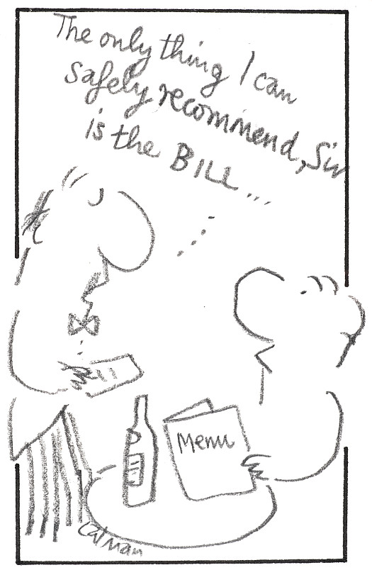 The Only Thing I Can Safely Recommend, Sir, is the Bill