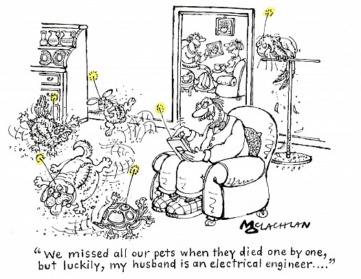 We Missed All Our Pets When They Died One by One, but Luckily, My Husband Is an Electrical Engineer...