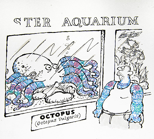 Octopus Vulgaris