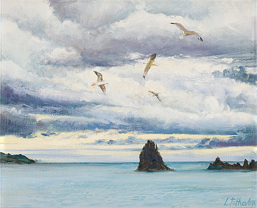 Rocks &amp; Gulls, Berry Head