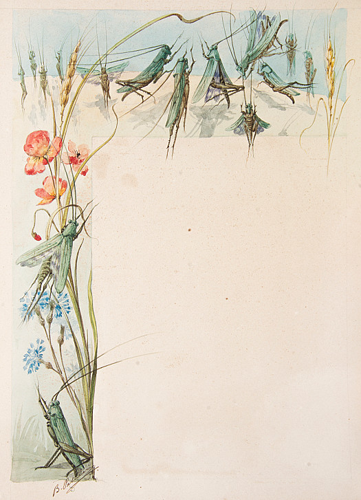 Grasshoppers and Poppies