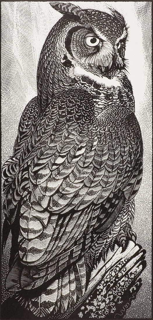 Great Horned Owl