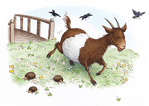 So the middle-sized Billy Goat Gruff crossed the bridge and skipped off into the meadow to join his brother eating the sweet grass