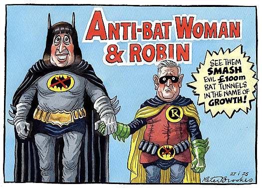 Anti-Bat Woman &amp; Robin