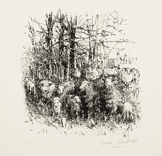 Sheep Gathering, Llwynhir