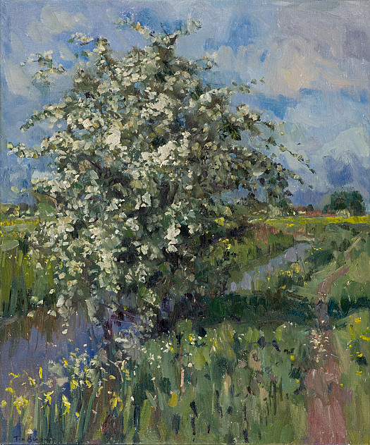 Hawthorn, Spring