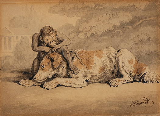 Dog and Monkey