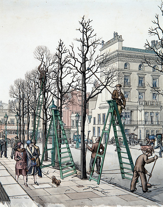 Preparing London for the Summer:
Exhibition Road, South Kensington