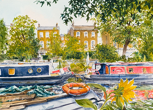 Sunflower by the Regent's Canal