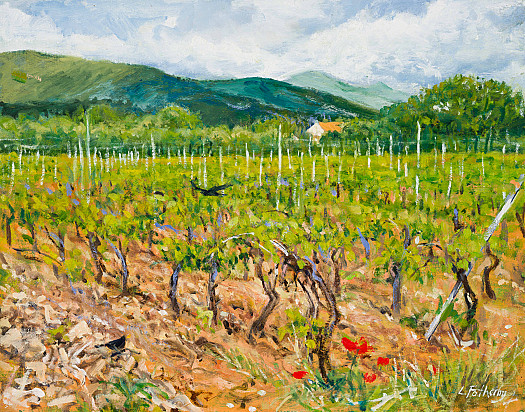 Vineyard, Fattoria il Duchesco