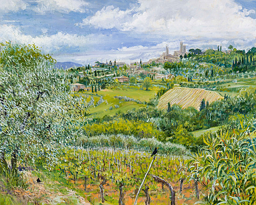 Vineyard at San Quirico, Looking Towards San Gimignano