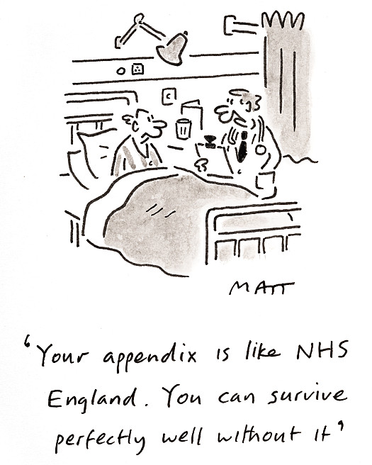 Your appendix is like NHS England. You can survive perfectly well without it