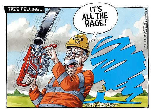 Tree Felling ...