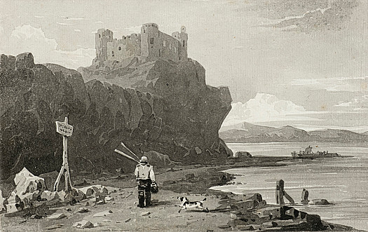 The boatman's dog