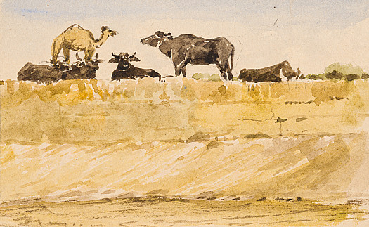Camel and cows on the Nile Bank