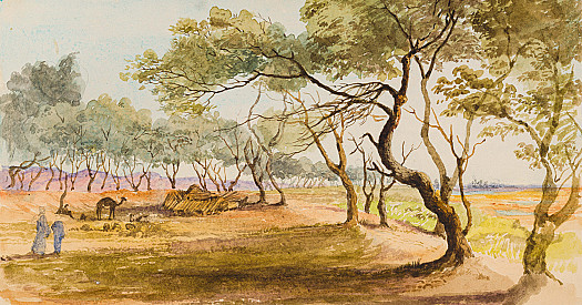 Nr Edfou