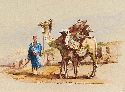 The Laden Camel