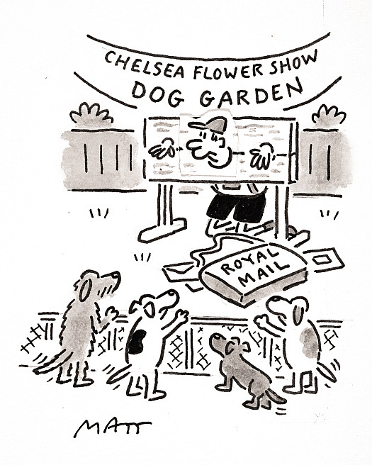 Chelsea Flower Show
Dog Garden