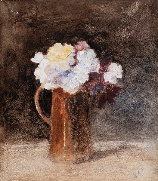 Carnations