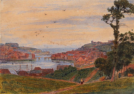 Above Whitby Harbour
