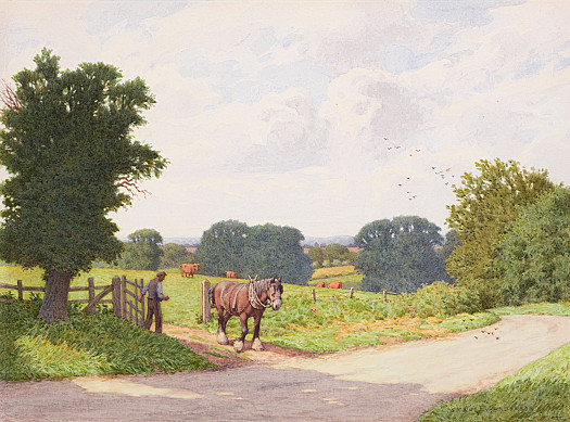 The Road to Shillingford