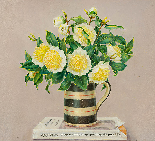 Camellias and Flemish Still-life Painters of the 17th Century