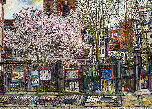 Magnolia outside St James&rsquo;s Church