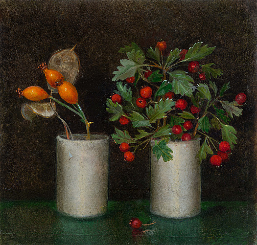 Hips and Haws