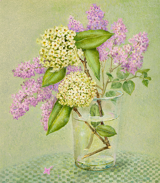 Lilac and Viburnum