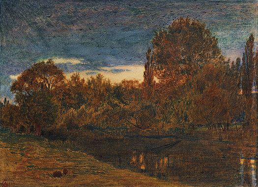 Sunset Through the Woodland
