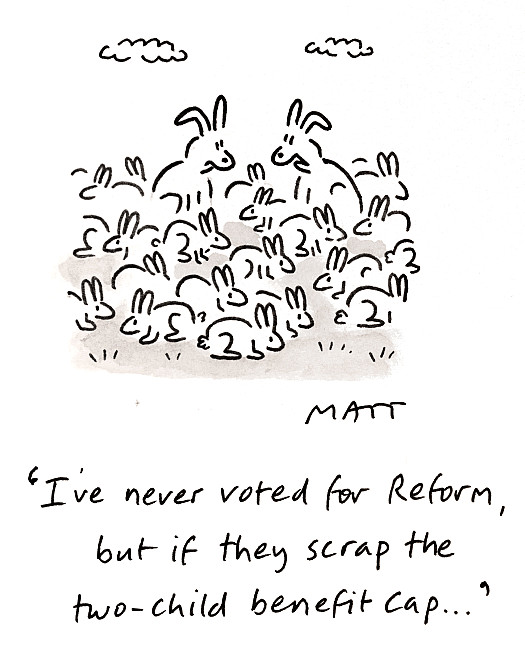 I've never voted for Reform, but if they scrap the two-child benefit cap ...