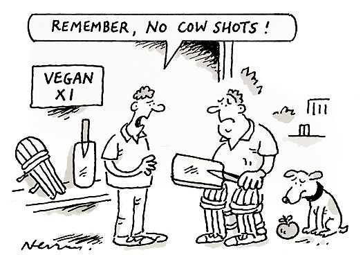 Remember, no cow shots!