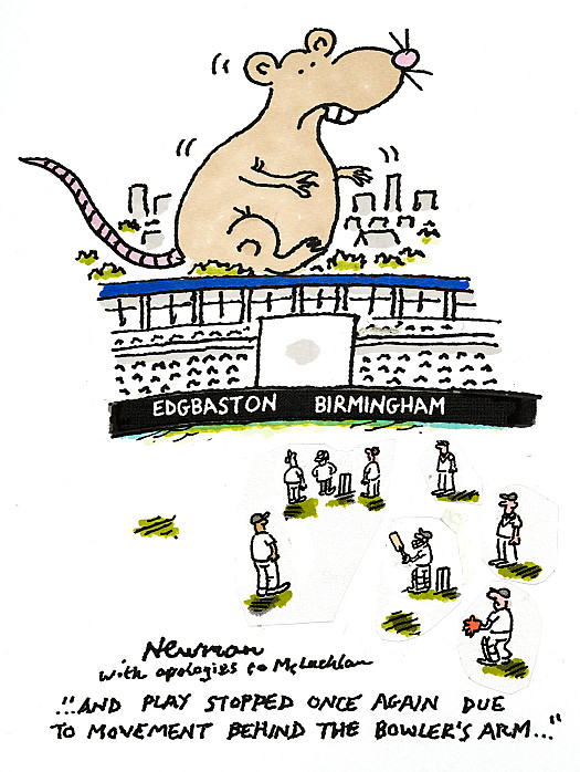 ... And play stopped once again due to movement behind the bowler's arm ...