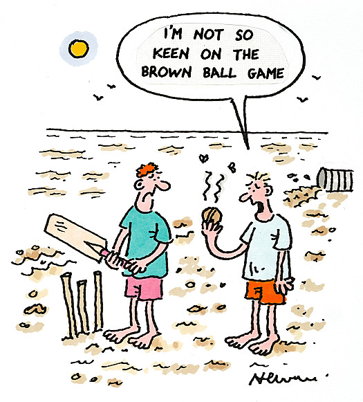 I'm not so keen on the brown ball game