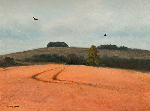 Kite Country