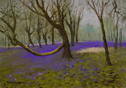 Bluebell Glade
