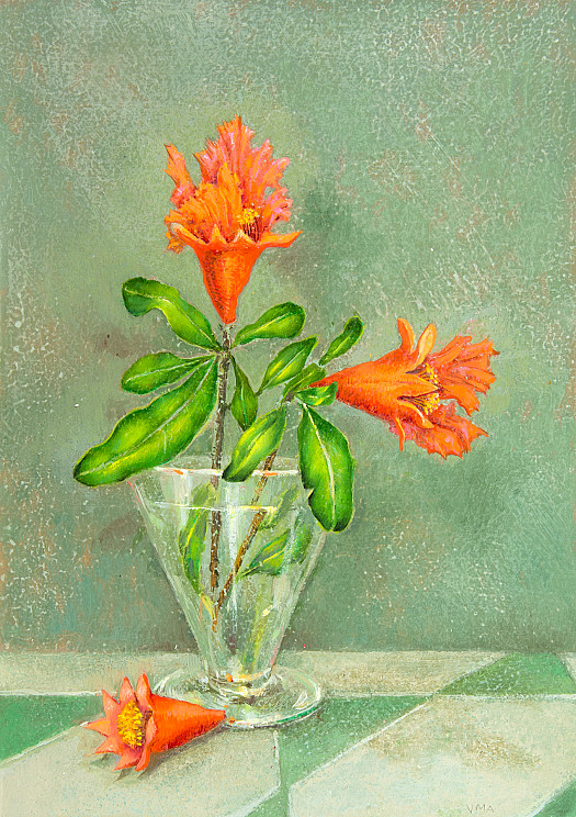 Pomegranate Flowers