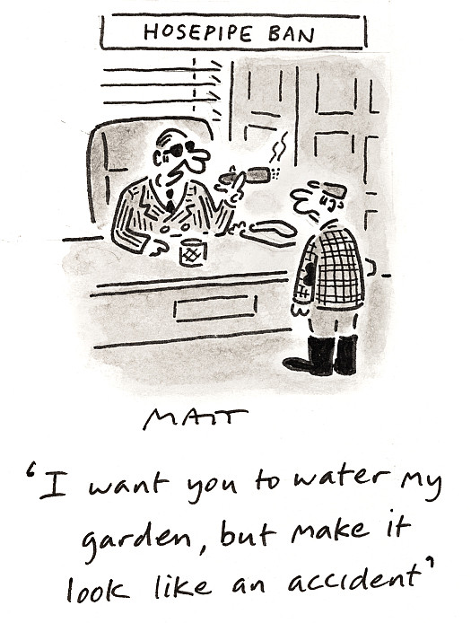 I want you to water my garden, but make it look like an accident