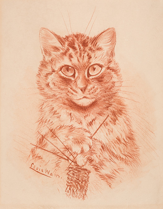 Cat Knitting