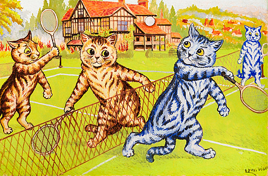Cats at Tennis